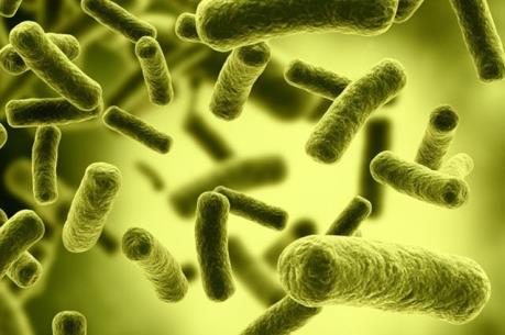 Bệnh nhân thứ 2 nhiễm siêu vi khuẩn kháng mọi kháng sinh tại Mỹ