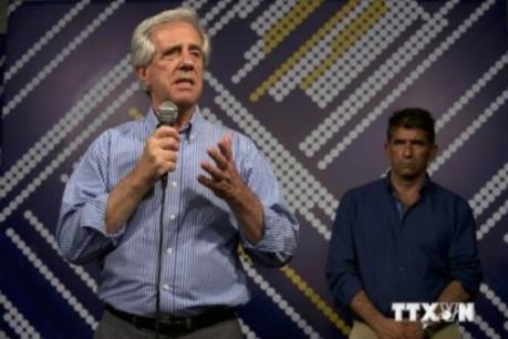 Mercosur quan ngại về các cuộc đàm phán FTA với EU sau Brexit