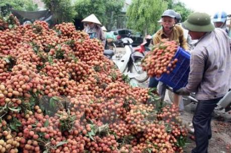 Xây dựng thương hiệu cho nông sản xuất khẩu