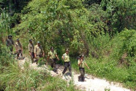 Thu hồi trên 1.000 ha đất rừng phòng hộ Dầu Tiếng bị lấn chiếm trái phép