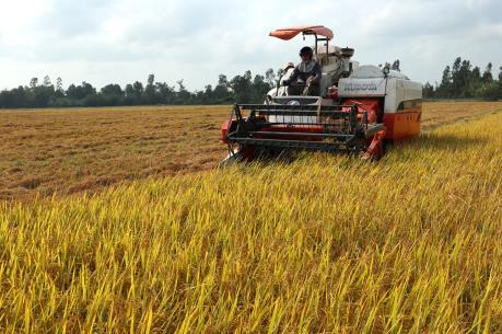 Tăng trưởng nông nghiệp sụt giảm trong nửa đầu năm 2016
