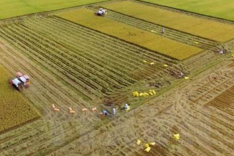 “Làng nông nghiệp thần kỳ” của Nhật Bản mong muốn tăng cường hợp tác với Việt Nam