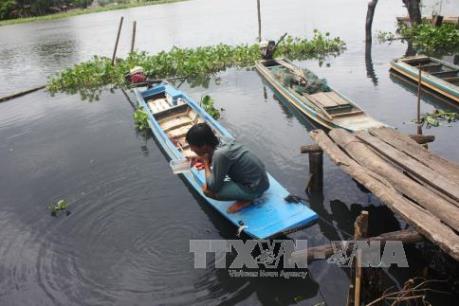 Xử phạt các cơ sở sản xuất gây ô nhiễm sông Vàm Cỏ Đông