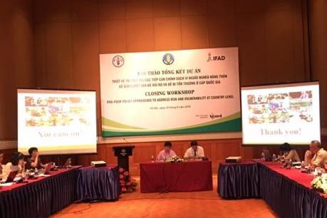 Thiết kế và thực thi các tiếp cận chính sách vì người nghèo nông thôn