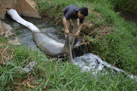 Kiểm tra việc khắc phục hậu quả môi trường của Công ty Mei Sheng Textiles Việt Nam