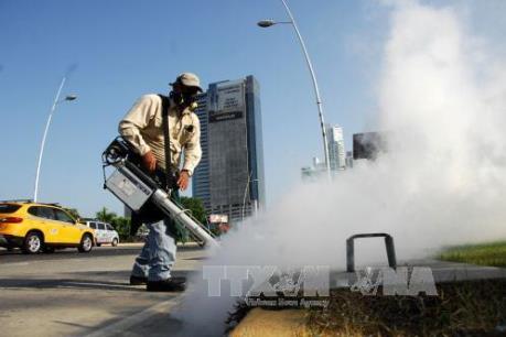 Thái Lan bác tin dịch Zika đang lan rộng