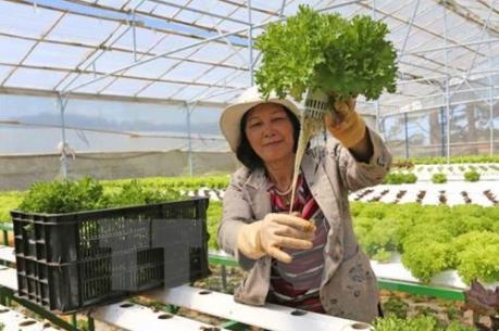 Bắt đầu tổng điều tra nông thôn, nông nghiệp và thủy sản năm 2016