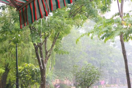 Dự báo thời tiết 3 ngày tới: Bắc bộ có mưa rào và dông