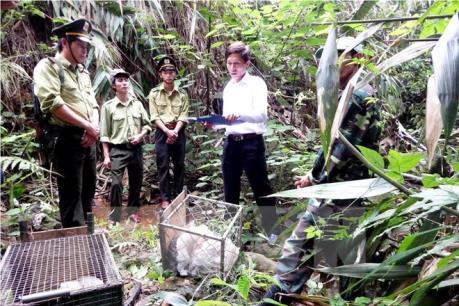 Vấn nạn buôn bán động vật hoang dã ở châu Á
