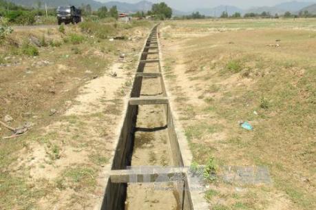 Cà Mau: Xử lý sai sót trong thực hiện chính sách hỗ trợ thiệt hại do hạn hán