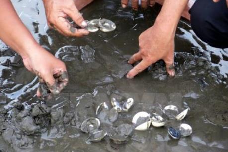 "Lao đao" vì nghêu chết bất thường