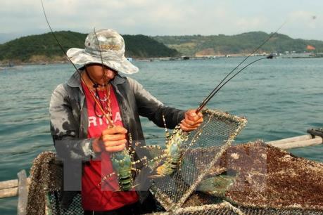 Kiểm soát hóa chất công nghiệp trong nông lâm thủy sản
