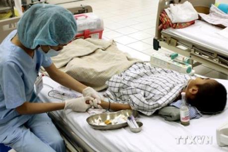 Cảnh báo bệnh viêm não Nhật Bản vào đỉnh dịch