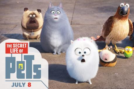 Top 10 phim ăn khách: Thú cưng hất ngã Dory