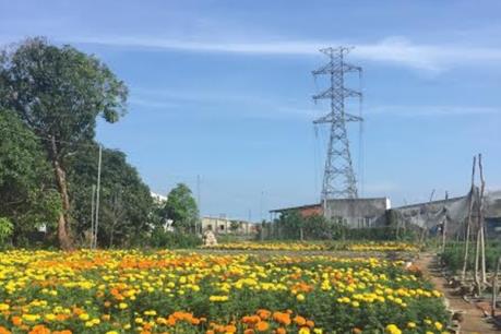 Giải phóng mặt bằng công trình lưới điện - Bài 1: Nguy cơ chậm tiến độ