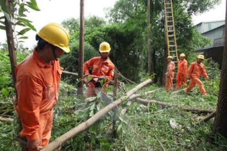 Gọi ngay Tổng đài 19006769 khi gặp sự cố về điện mùa mưa bão