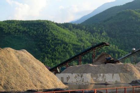 Xuất khẩu dăm gỗ đối mặt với khó khăn kép