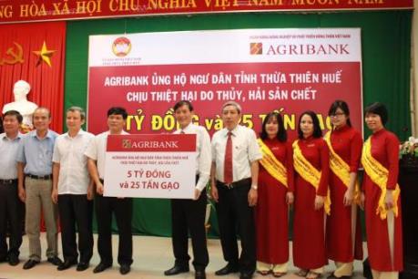 Ưu tiên vốn chuyển đổi ngành nghề cho ngư dân 4 tỉnh miền Trung