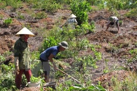 Đắk Nông kỷ luật hàng loạt cán bộ liên quan đến cấp sổ đỏ đất lâm nghiệp
