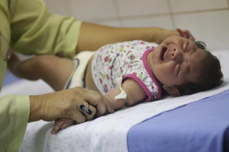 Brazil: Hơn 1.700 trẻ mới sinh mắc chứng đầu nhỏ liên quan đến virus Zika