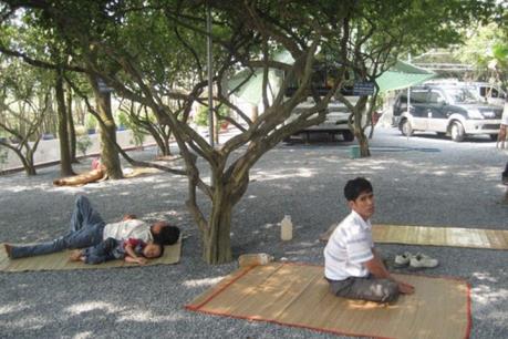 "Khu vườn kỳ lạ" ở Long An không có tác dụng chữa bệnh