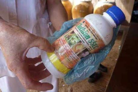 Nghi vấn ba mẹ con tự tử bằng thuốc trừ sâu do mâu thuẫn gia đình