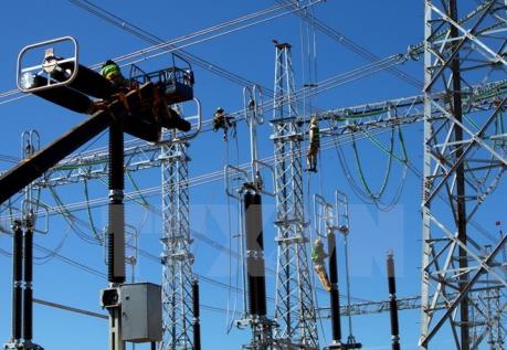 Làm rõ việc gian lận hồ sơ thầu tại Công ty Điện lực Hải Dương