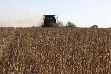 Brazil với tham vọng chiếm lĩnh 10% thị trường nông phẩm thế giới