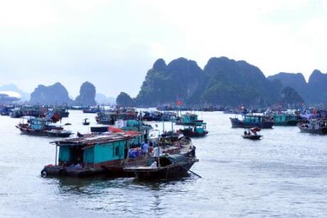 Ứng phó với bão số 1: Rà soát, kiểm tra các phương tiện thủy hoạt động trên vịnh Hạ Long