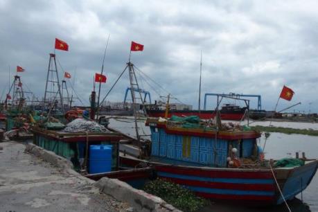 Ứng phó với bão số 7: Thái Bình đưa tàu thuyền vào nơi tránh bão