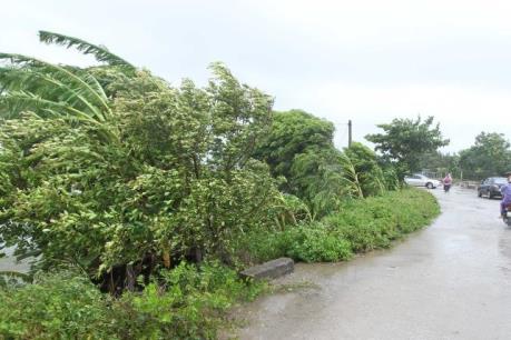 Tin bão số 1: Mưa lớn tập trung ở đồng bằng, trung du Bắc Bộ và Hòa Bình