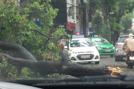 Hà Nội: Bão số 1 làm một người chết và 5 người bị thương