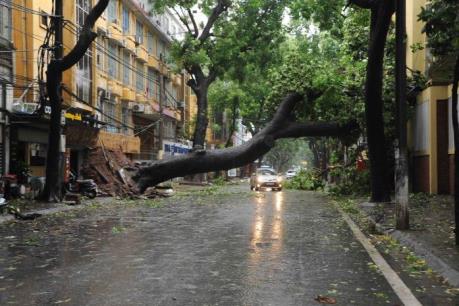 Ảnh hưởng của bão số 1: Mất điện tại nhiều khu vực của Thủ đô