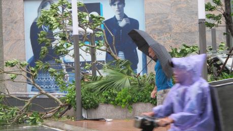 Hà Nội khắc phục ảnh hưởng cơn bão số 1