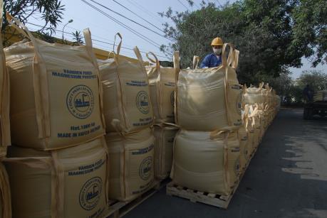 VAF: Kết luận kiểm tra thuế