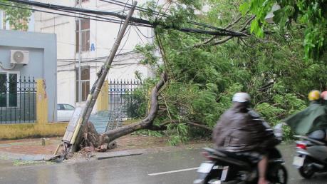 Ảnh hưởng của bão số 1: Đã khôi phục cấp điện nhiều khu vực ở miền Bắc