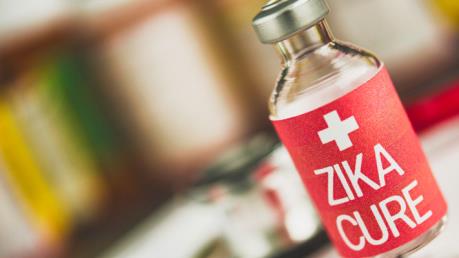 Phát hiện kháng thể có thể giúp sản xuất vaccine phòng virus Zika