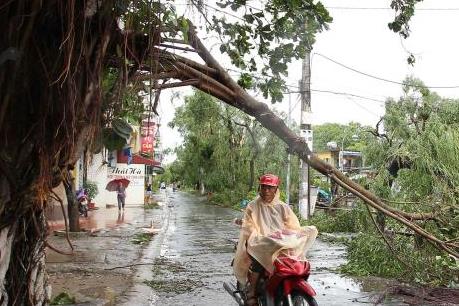 Bão số 3: Khả năng gây hậu quả cao nếu không ứng phó kịp thời