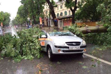 Thống kê những thiệt hại sau bão số 1