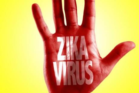 Bỉ ghi nhận 32 trường hợp nhiễm virus Zika