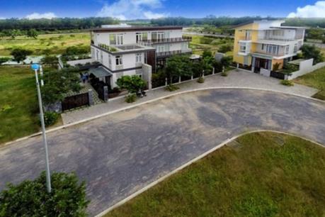 TIP: Giải trình KQKD 6 tháng đầu năm 2016