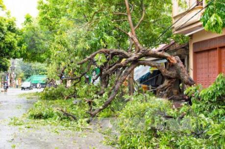 Bộ Giao thông Vận tải khắc phục thiệt hại do mưa bão