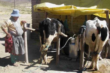 Bolivia có thể hoàn thành mục tiêu thiên niên kỷ vào năm 2020