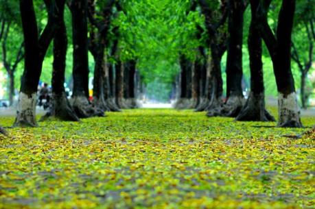 Xây dựng sản phẩm du lịch mang bản sắc Hà Nội