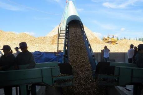 Chính thức vận hành Nhà máy chế biến nguyên liệu gỗ trị giá 100 tỷ