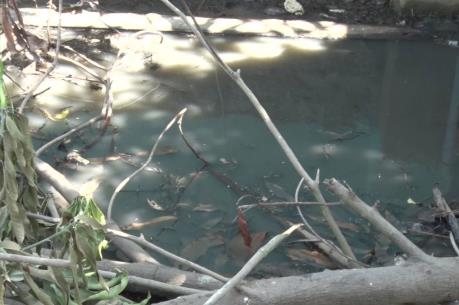 Phú Yên: Xử phạt doanh nghiệp xả nước thải chưa qua xử lý ra môi trường