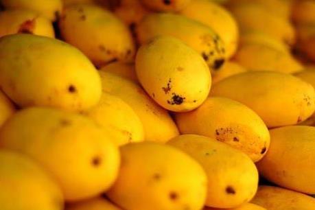 Thực hư xoài hạt ni lông xuất xứ Trung Quốc