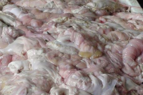Tạm giữ lượng lớn da trâu, bò và lòng lợn bốc mùi hôi thối