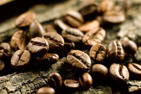  VCF: Cam kết sản xuất các sản phẩm cà phê nguyên chất, không độn đậu nành