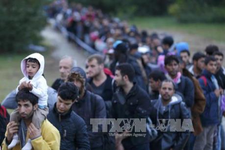 EU cấp 108 triệu euro giúp Bulgaria đối phó với dòng người tị nạn